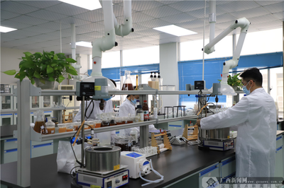 广西产业技术研究院功能材料共享中试基地揭牌，加速新材料技术研发与产业转化